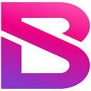 Block Spins logo