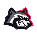 BetFury casino logo